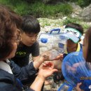 창의의 숲 이미지