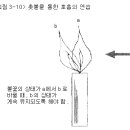 호흡법-복근(腹筋)의 단련 이미지