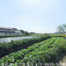 세지면사무소 이미지