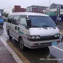 그레이스 이미지