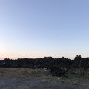 별미해장국 - 진주시 | 별미해장국