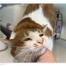 아이조아요양보호소 전남광주점 이미지