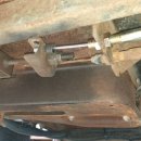 서울어린이대공원동물병원 이미지