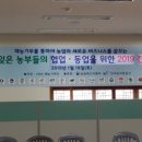 이원농장 | 생거진천 이원농장의 콜라비 장아찌 맛있게 만들기~^^