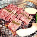 돈육몽