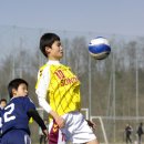 수원-2010 이미지