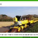 애월시크릿가든 이미지