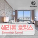 프로과일러 | 쉐라톤 디큐브시티 리얼후기 : 효도 호캉스