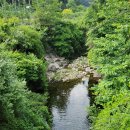 꿋꿋한농원 이미지