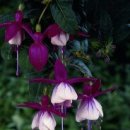 구암동112 이미지