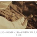 치킨인류 이미지