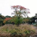 송림정 이미지