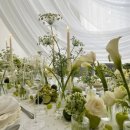 아이디어플라워 이미지