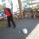 금왕읍사무소 이미지