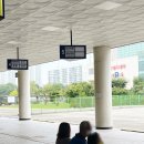 가을제주 7박 8일 1일차. 김포공항>제주공항 임산부 패스트트랙. 우진해장국. 탐라스테이. 해물포차 머구리