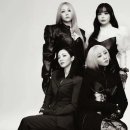 주식회사 핫한날 이미지