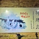 문경 오미자테마터널 이미지