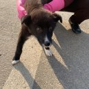 화전산단4로 이미지