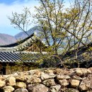 돌담 - 완주군 대둔산로 2151-74 | 돌담