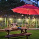 대박펫살롱 이미지