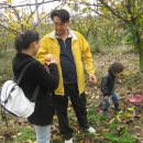 가족사랑체험펜션 이미지