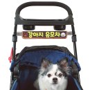 따봉자전거 이미지