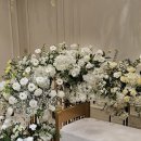 칼라스 친구들 | [발산역웨딩홀] 더 베뉴지 서울 '더마리아칼라스' 투어, 계약 후기 (다른 홀도 있음)