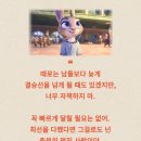 정암초등학교 이미지