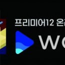 프리미어텔레콤 이미지