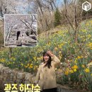 가옥부동산공인중개사사무소 네이버블로그
