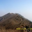 ▶가을이 지나간 영남알프스 배내봉에서 오룡산까지(2)◀ 이미지