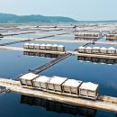 신안수지 이미지