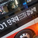1101n 버스(분당) 이미지
