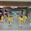 다온 태권도 이미지