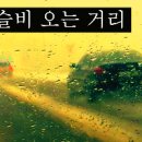 보슬비 Daum카페