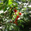 마두저수지 이미지