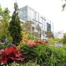 독산3동 다목적광장 이미지