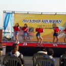 수륙해안로 이미지