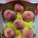 (주)알로젠 이미지