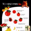 얌얌짭짭 이미지