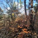 소정안길 이미지