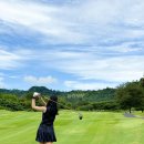 금호 고기마트 이미지