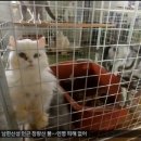 실상농장 이미지