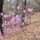 강남구 서초구 음악 실용음악 성악 학원 교습소 명단 자료실 디스코드 부동산 주소 안내 이미지