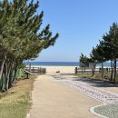 송지호 오토캠핑장 이미지