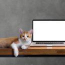 해밀동물병원 이미지