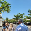 짱구세탁소 이미지