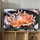 순흥기지떡 영주점 이미지