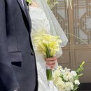 은우헤어 - 익산시 선화로49길 24 | 양평 야외웨딩 아델라한옥 후기, 와츄원웨딩, 모드니드레스, 스몰웨딩 진짜 후기