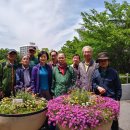 해밀세탁소 이미지